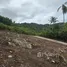  Land for sale in Na Mueang, Surat Thani, Na Mueang