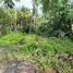  Land for sale in Koh Samui Surat Thani, Ang Thong, Koh Samui