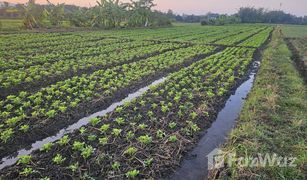 N/A Land for sale in Mae Pong, Chiang Mai 