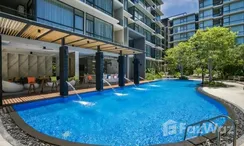 图片 2 of the 游泳池 at Altera Hotel & Residence Pattaya