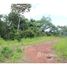  Land for sale in Osa, Puntarenas, Osa