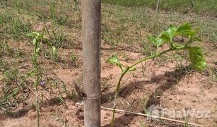 N/A Grundstück zu verkaufen in Mek Dam, Maha Sarakham 