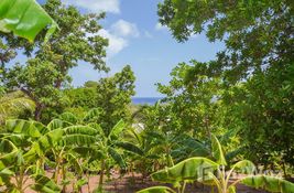  habitación Terreno (Parcela) en venta en en Islas De La Bahia, Honduras 