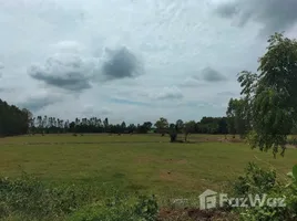  Terrain for sale in Chai Nat, Nong Saeng, Hankha, Chai Nat