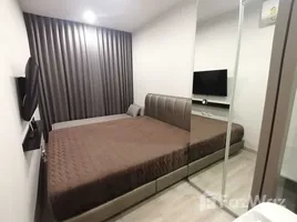 1 спален Кондо в аренду в Niche Pride Taopoon-Interchange, Bang Sue, Банг Суе, Бангкок, Таиланд