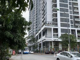 10 Schlafzimmer Haus zu verkaufen in Ha Dong, Hanoi, Mo Lao, Ha Dong