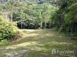  Land for sale in Peruibe, São Paulo, Peruibe, Peruibe