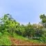 在卡拉巴松出售的 土地, Alfonso, Cavite, 卡拉巴松