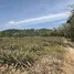  Land for sale in Si Sunthon, Phuket, Si Sunthon, Thalang, Phuket