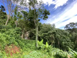  Terrain for sale in Big Buddha, Karon, Karon