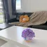 2 спален Дом в аренду в The Rich Villa Nabon, Чалонг, Пхукет Тощн, Пхукет, Таиланд