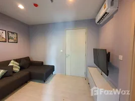 1 Bedroom Apartment for rent at Life Sukhumvit 48, Phra Khanong, Khlong Toei, Bangkok