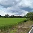 ขายที่ดิน ใน เชียงใหม่, ขี้เหล็ก, แม่ริม, เชียงใหม่