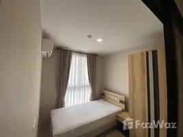 2 Bedroom Condo for rent at The Tree Onnut Station, Bang Chak, Phra Khanong, Bangkok, Thailand