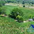 Terrain à vendre à San Felipe De Puerto Plata, Puerto Plata, San Felipe De Puerto Plata, Puerto Plata, République dominicaine