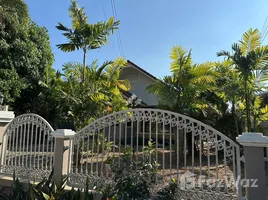 บ้านเดี่ยว 3 ห้องนอน ให้เช่า ในทำเล สนามบินนานาชาติเชียงใหม่, สุเทพ, ป่าแดด
