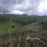  Terrain for sale in Colombie, Marinilla, Antioquia, Colombie