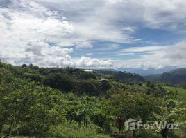  Land for sale in Cartago, Oreamuno, Cartago