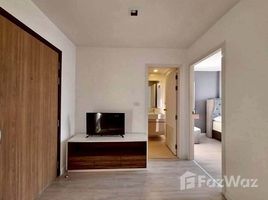 คอนโด 1 ห้องนอน ให้เช่า ในโครงการ เมโทรลักซ์ พระราม 4, คลองเตย