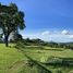 N/A Land for sale in Wichit, Phuket Land for Sale with Building at Ao Makham, Leam Panwa In Phuket