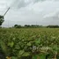  Land for sale in Ban Mo Saraburi, Horathep, Ban Mo, Saraburi