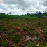  Terreno (Parcela) en venta en Gomoa, Central, Gomoa