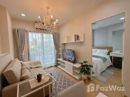 1 Bedroom Apartment for rent at Casa Condo Asoke-Dindaeng, Din Daeng, Din Daeng
