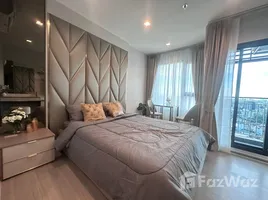 อพาร์ทเม้นท์ 1 ห้องนอน ให้เช่า ในโครงการ ไลฟ์ สาทร เซียร์รา, ตลาดพลู, ธนบุรี