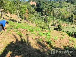 ขายที่ดิน ใน สาคู, ภูเก็ต, สาคู