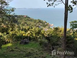 ขายที่ดิน ใน บ่อผุด, สุราษฎร์ธานี, บ่อผุด