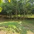ขายที่ดิน ใน สะเนียน, น่าน, สะเนียน, เมืองน่าน