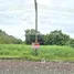 ขายที่ดิน ใน ลำลูกกา ปทุมธานี, คูคต