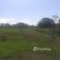  Terreno (Parcela) en venta en Chiriquí, Horconcitos, San Lorenzo, Chiriquí