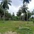  Land for sale in Koh Samui, Koh Samui