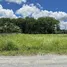 Land for sale in Phuket, Thep Krasattri, Thalang, Phuket