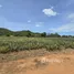  Land for sale in Sam Roi Yot, Hua Hin, Sam Roi Yot