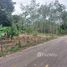  Земельный участок for sale in Pa Khlok, Пхукет, Pa Khlok