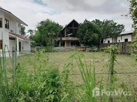  Land for sale in Mueang Chiang Mai, Chiang Mai, Pa Tan, Mueang Chiang Mai