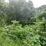  Land for sale in Nonthaburi, Bang Bua Thong, Bang Bua Thong, Nonthaburi