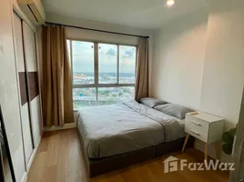 อพาร์ทเม้นท์ 1 ห้องนอน ให้เช่า ในโครงการ ลุมพินี ทาวน์ เพลส สุขุมวิท 62, บางจาก, พระโขนง