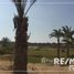 5 Habitación Villa en venta en New Giza, Cairo Alexandria Desert Road