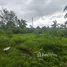  Land for sale in Tak Daet, Chumphon, Tak Daet, Mueang Chumphon