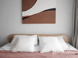 อพาร์ทเม้นท์ 1 ห้องนอน ให้เช่า ในโครงการ Condolette Dwell Sukhumvit 26, คลองตัน