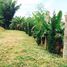  Land for sale in Thailand, Huai Rai, Den Chai, Phrae, Thailand