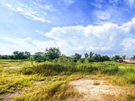  Land for sale in Phan Thong, Chon Buri, Nong Kakha, Phan Thong