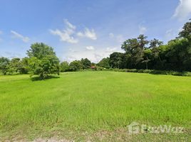 在苏林出售的 土地, Sawai, Mueang Surin, 苏林