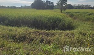 N/A Grundstück zu verkaufen in Fa Yat, Yasothon 