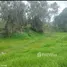 在Antioquia出售的 土地, San Pedro De Los Milagros, Antioquia