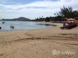  Grundstück zu verkaufen in Koh Samui, Surat Thani, Maenam