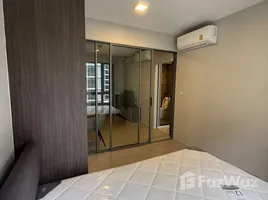 คอนโด 1 ห้องนอน ให้เช่า ในโครงการ ควินทารา ภูม สุขุมวิท 39, คลองตันเหนือ